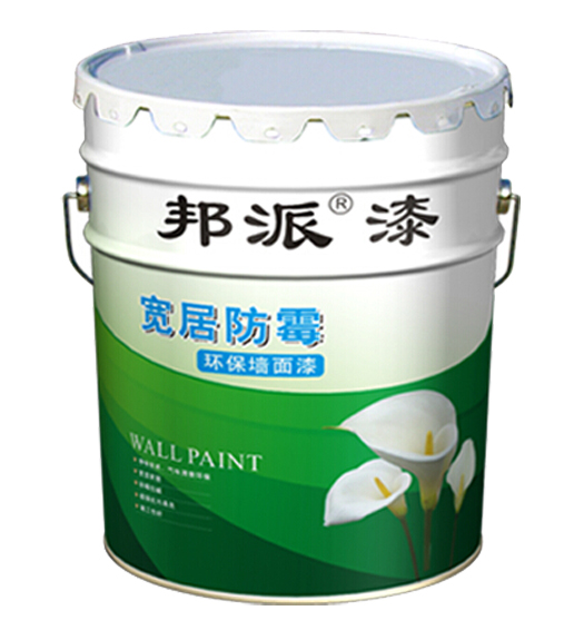 寬居防霉環(huán)保啞光墻面漆